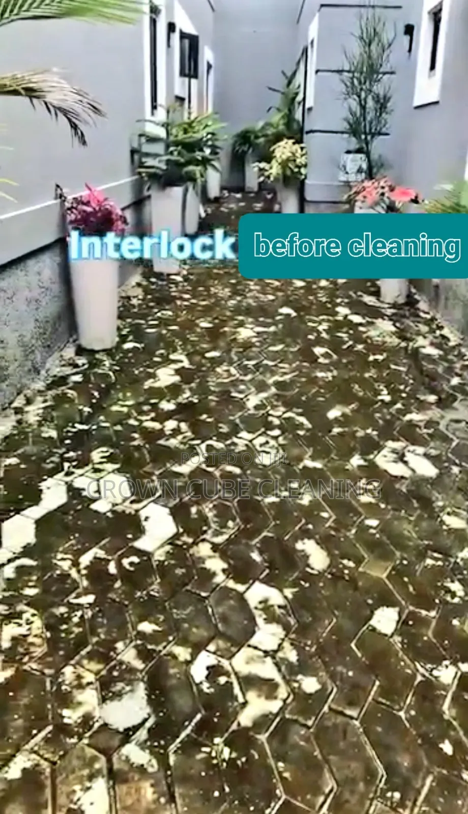 Interlock Pressure Washing/ Cleaning