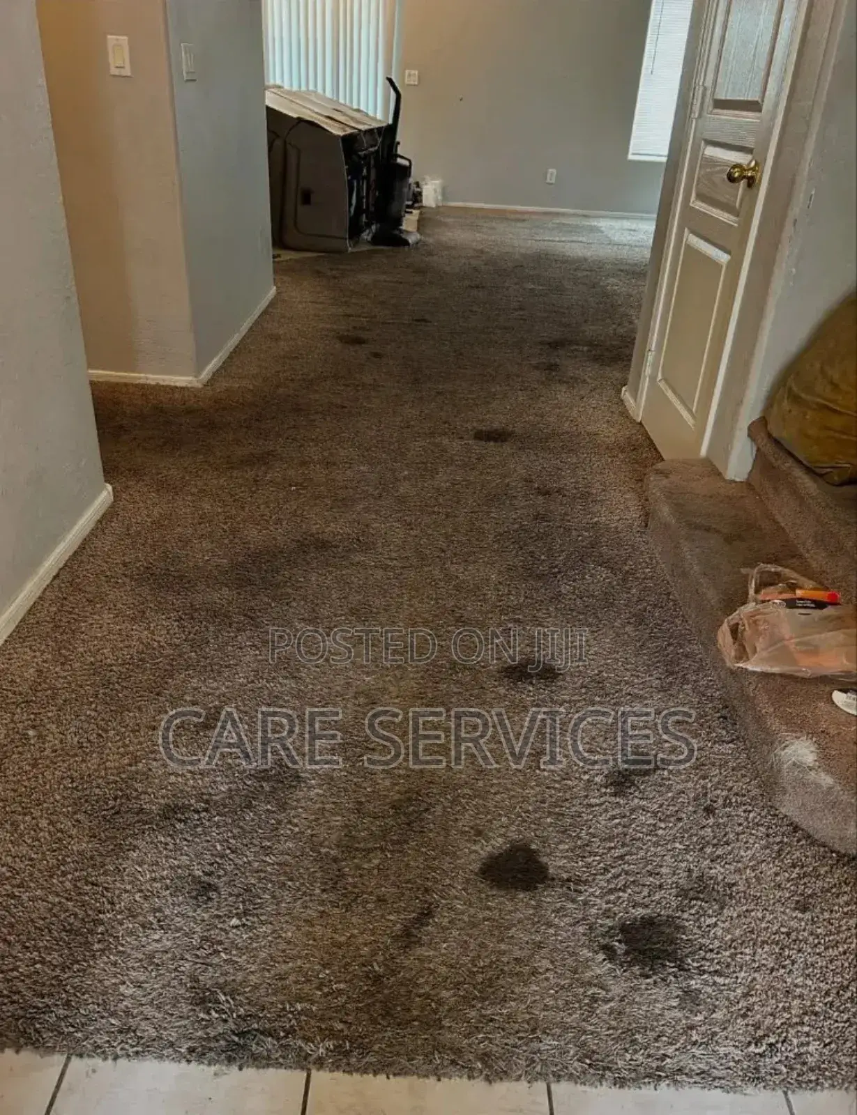Perfect Rug/Carpet Cleaning