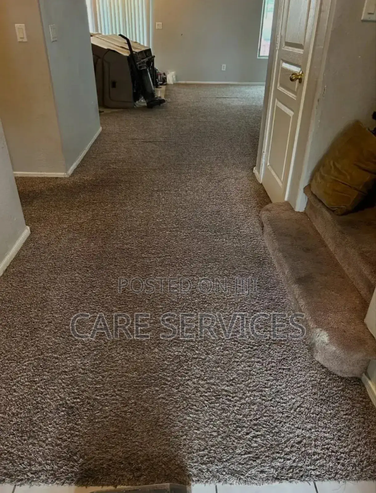 Perfect Rug/Carpet Cleaning