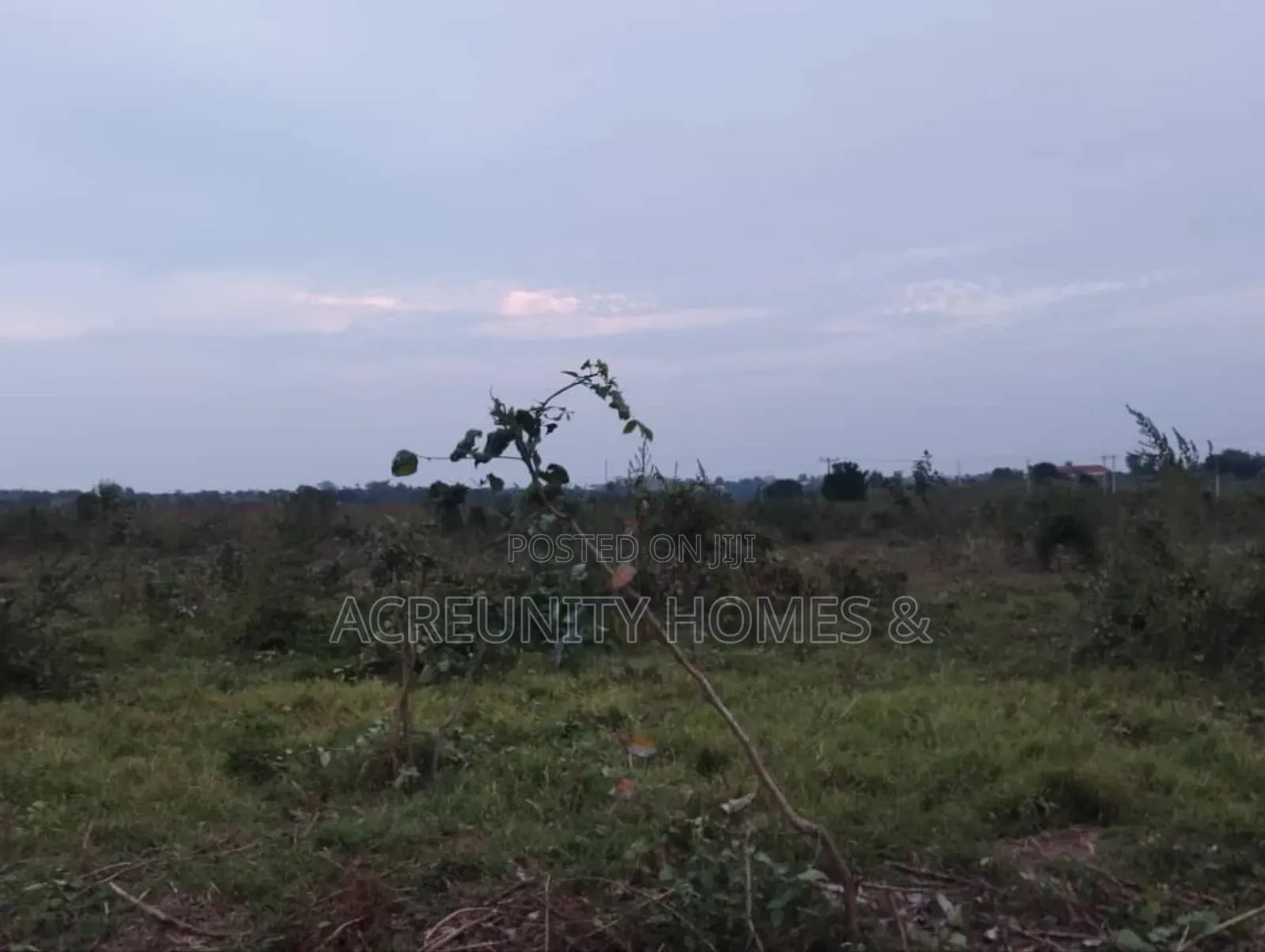 3 Acres Of Farmland For Sale – Km 5, Iseyin–Ogbomoso Road, Oyo State