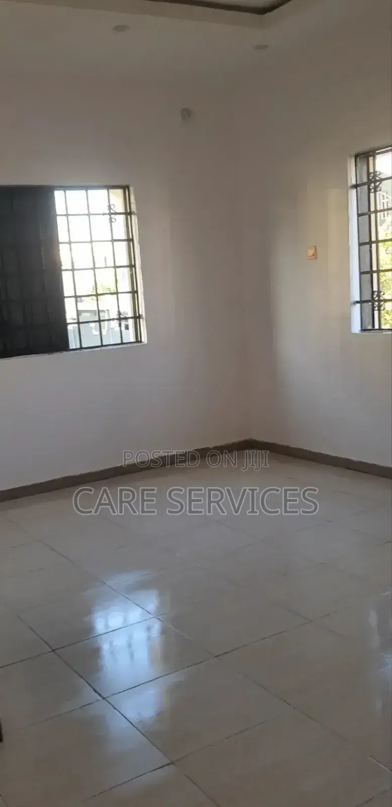 General Apartment Cleaning/Stain Removal