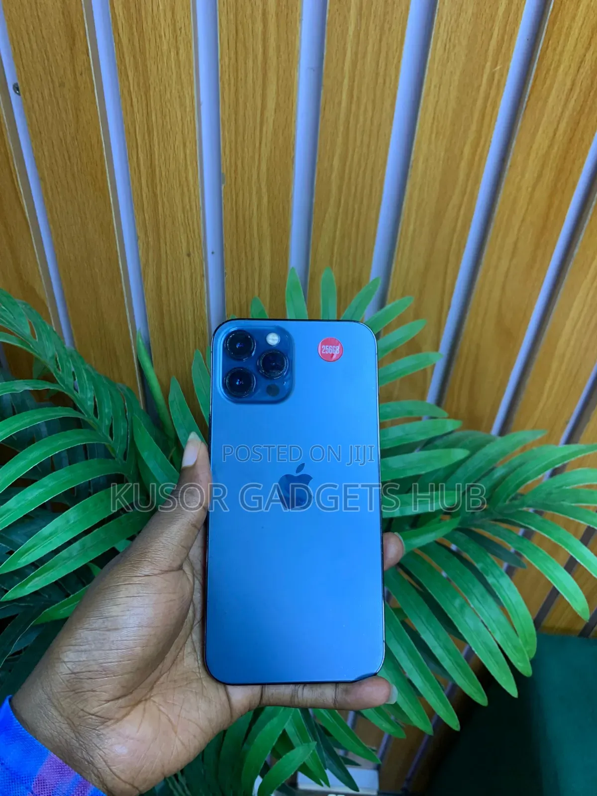 Apple iPhone 12 Pro Max 256 GB Blue