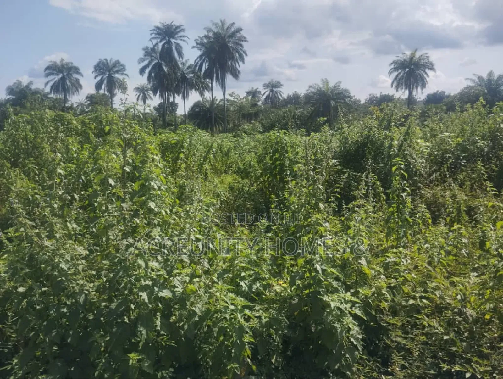 1 Plot of Land–Beside Civil Defence Office–Lautech Campus Okeho Road