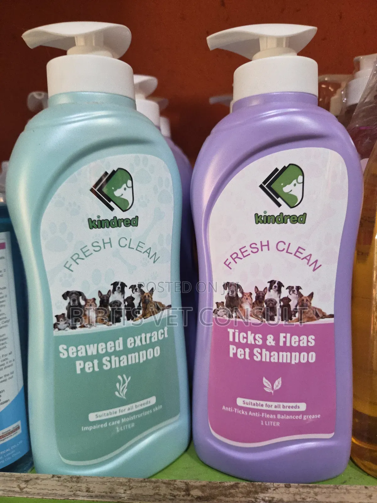 Kindred FRSSH Clean Shampoo Whitening, Tick Flea, Seaweed Extract