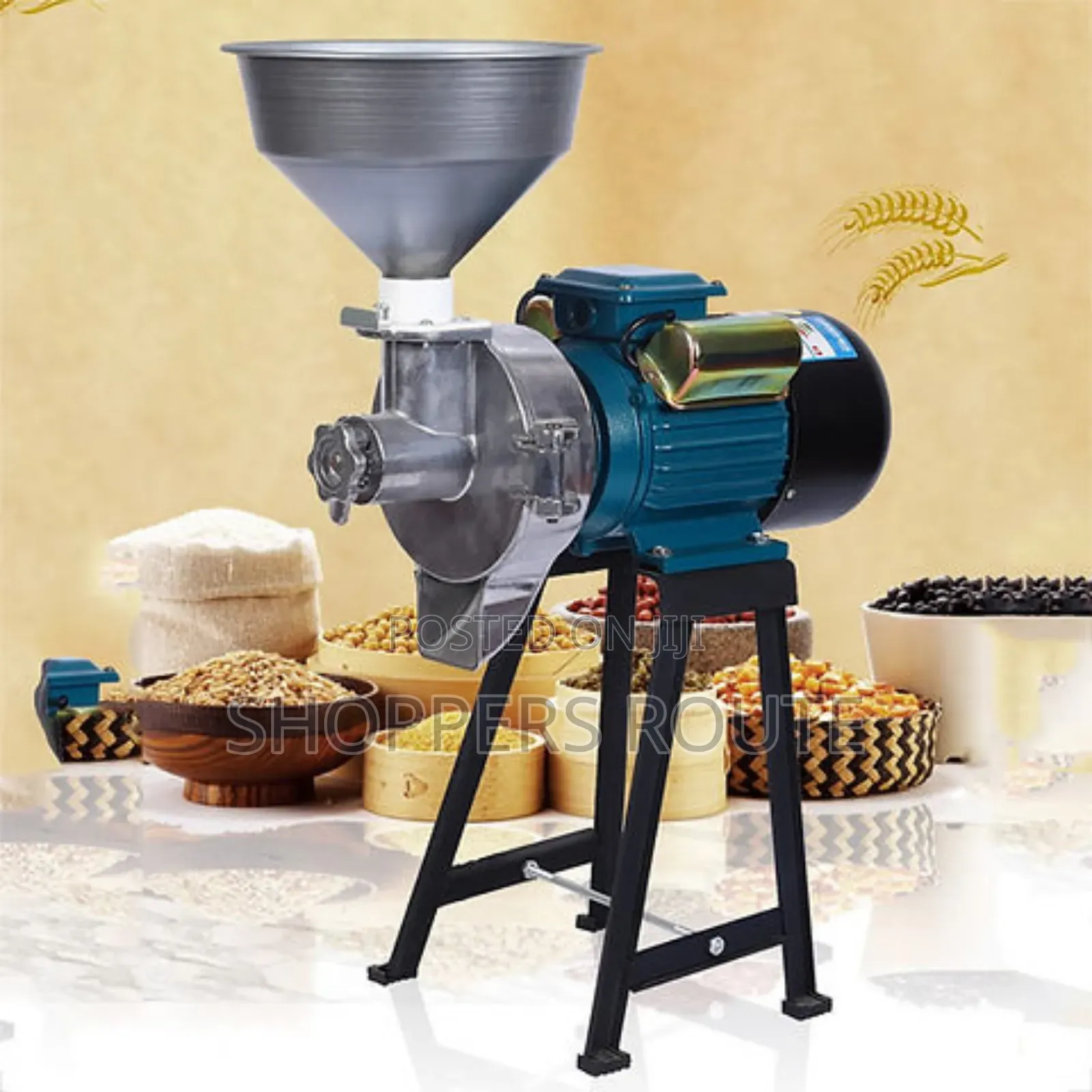 Wet and Dry Grinder G 160