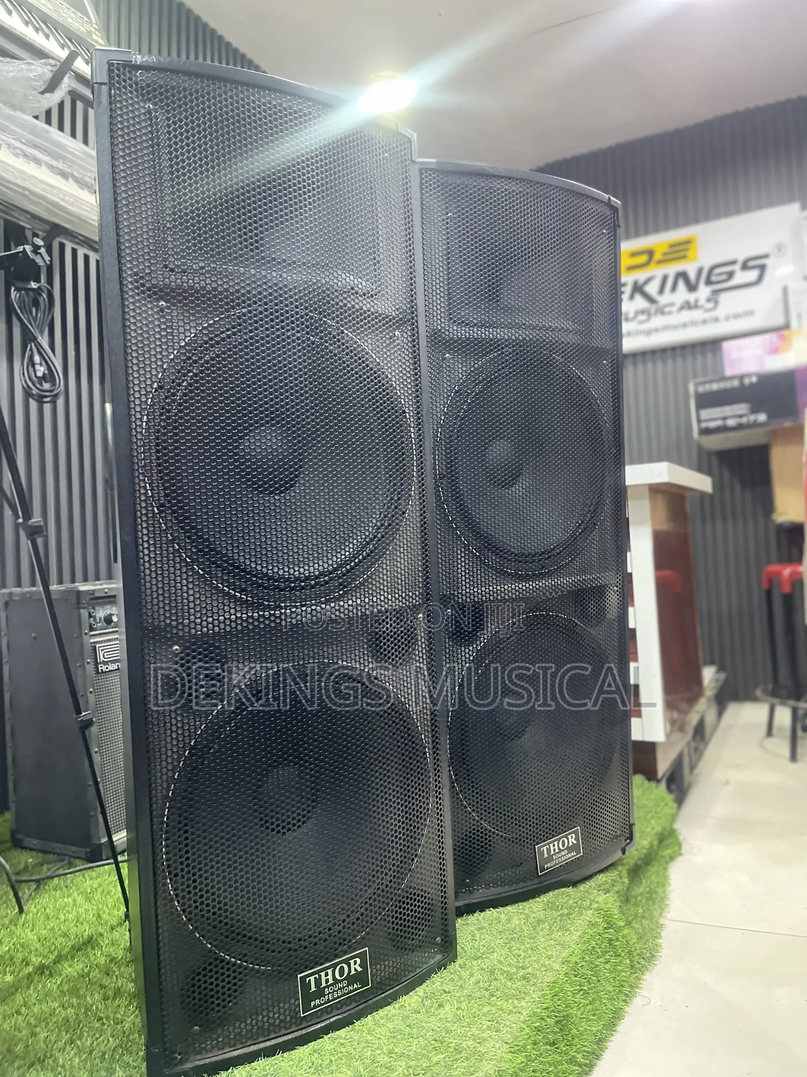 Thor Professional Full Range Speaker