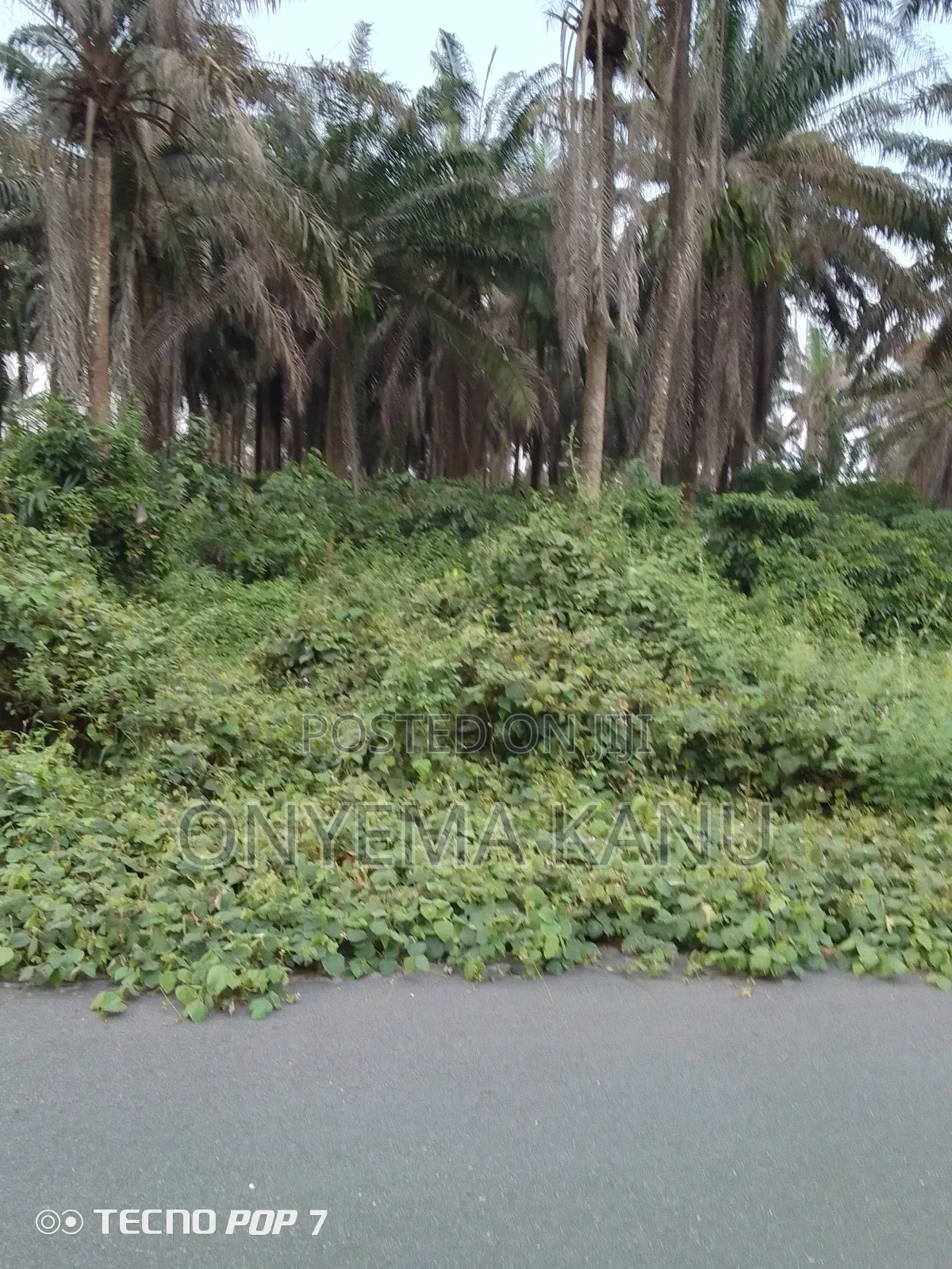 500 Acres for Grab at Owaza.