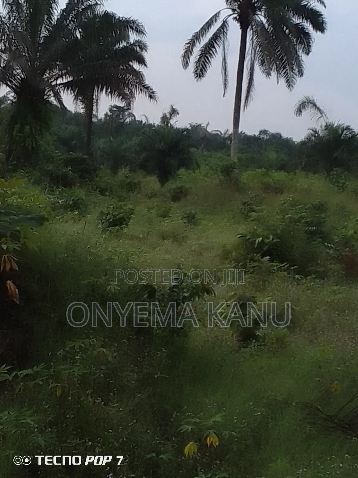 500 Acres for Grab at Owaza.
