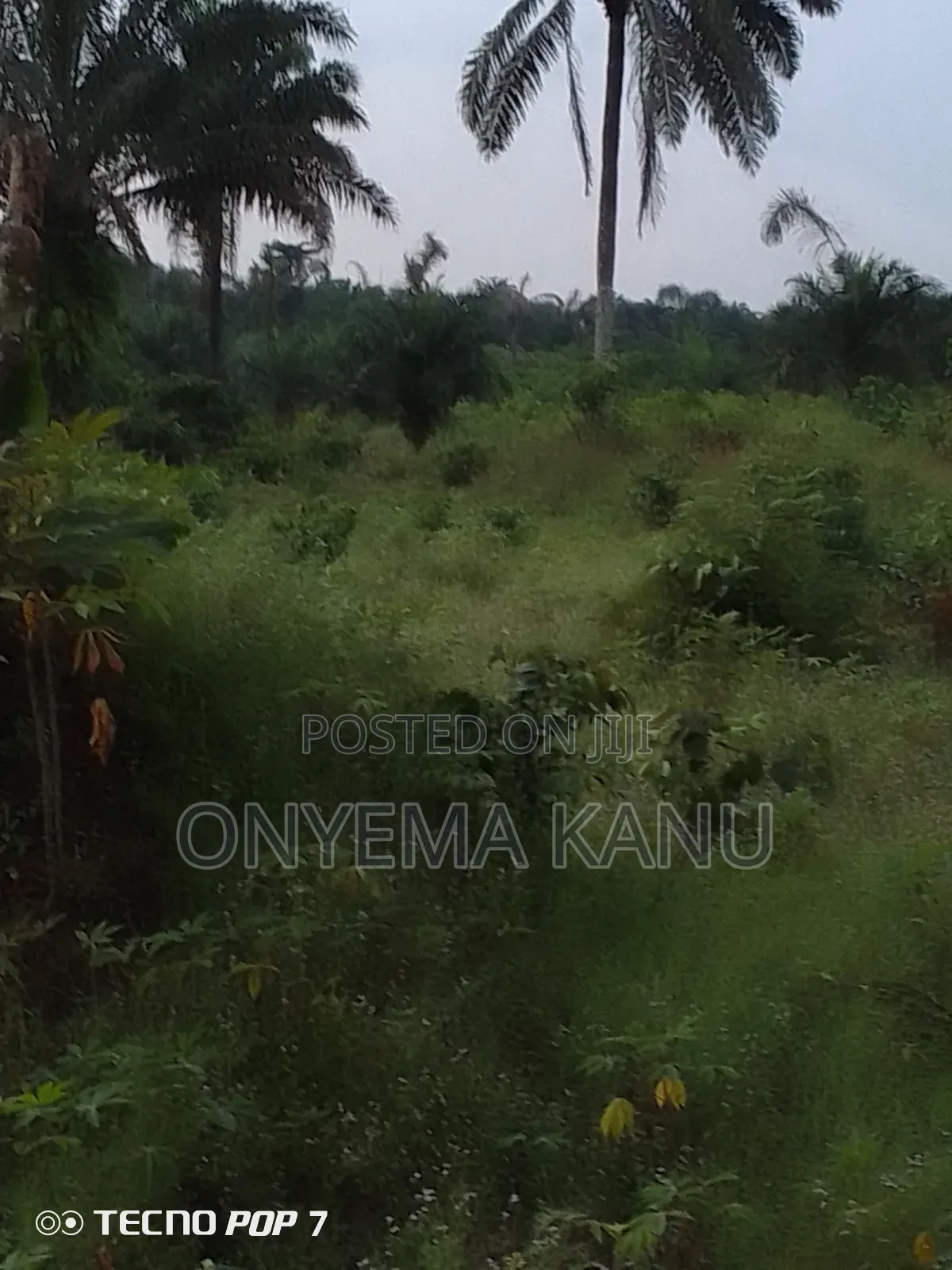 500 Acres for Grab at Owaza.