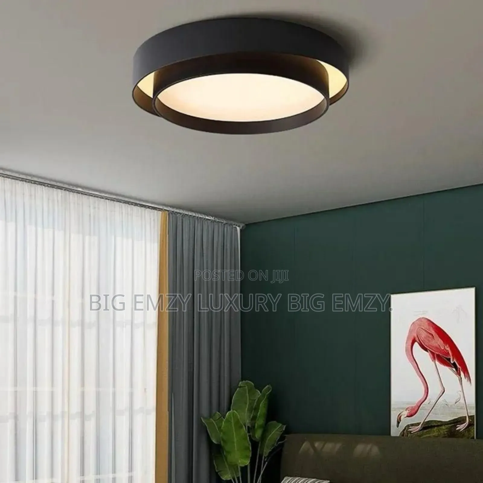 Modern Led Ceiling Mount Light.