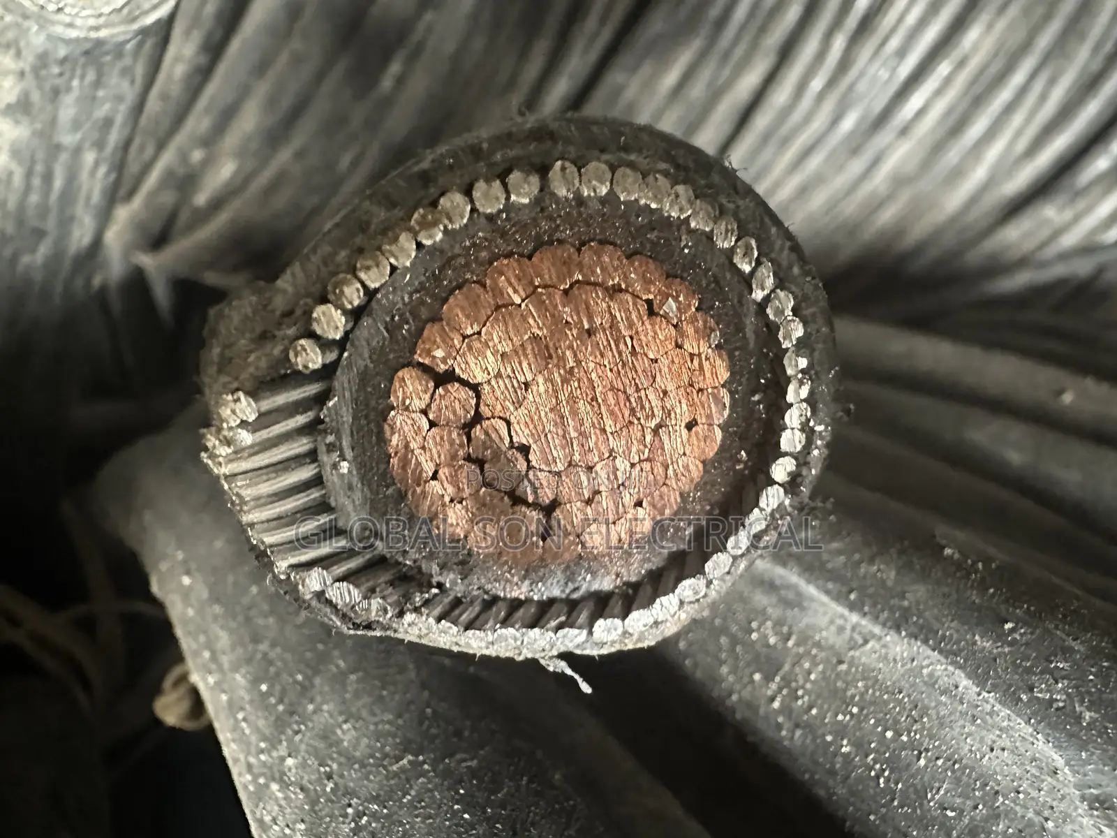 300mmx1core Armored Cable
