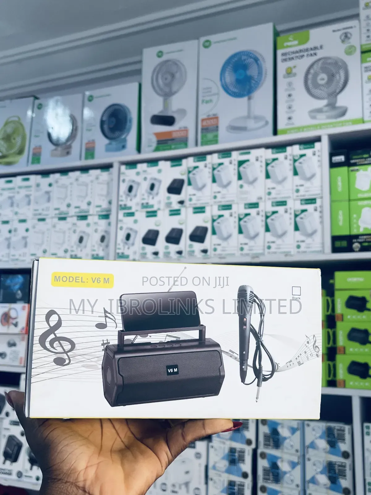 V6m Speaker