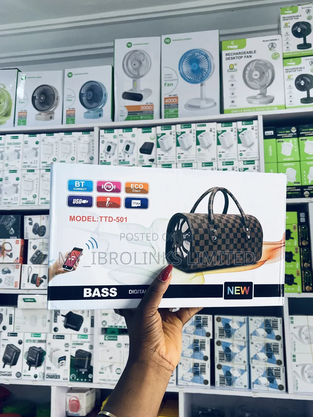 TTD-501 Bag Like Speaker
