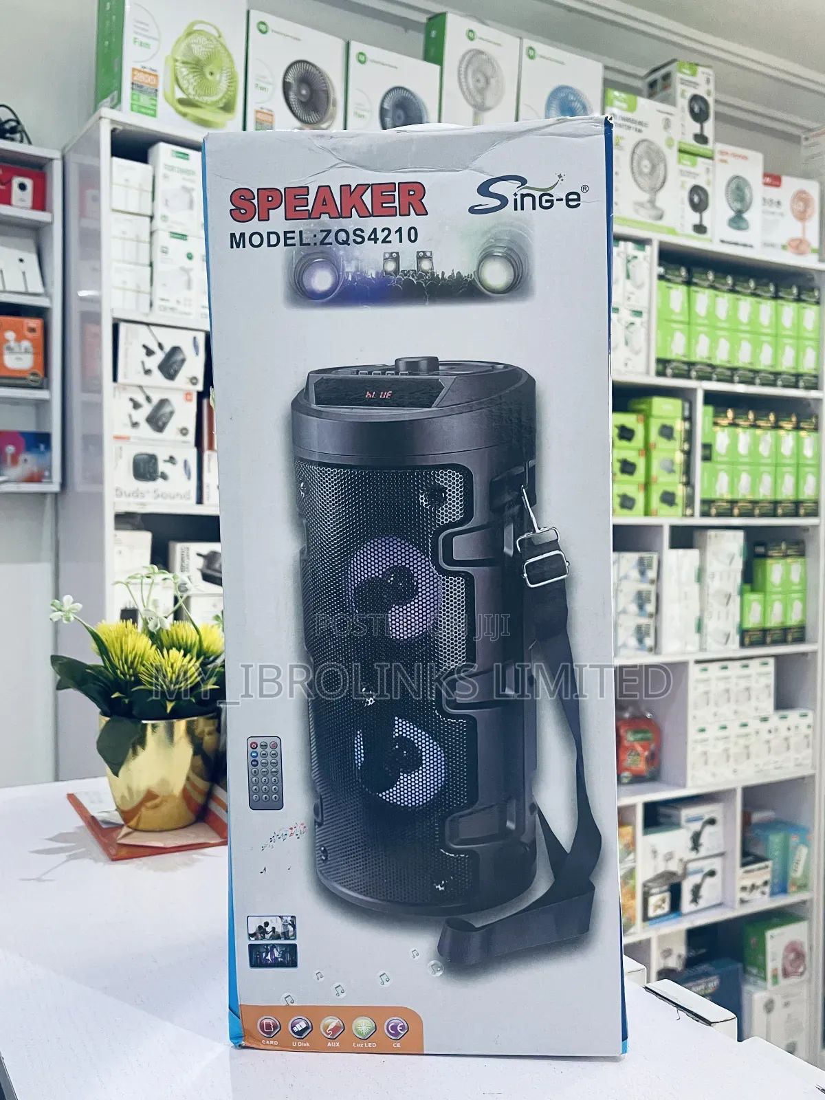 Sing-Ezqs 420 Speaker