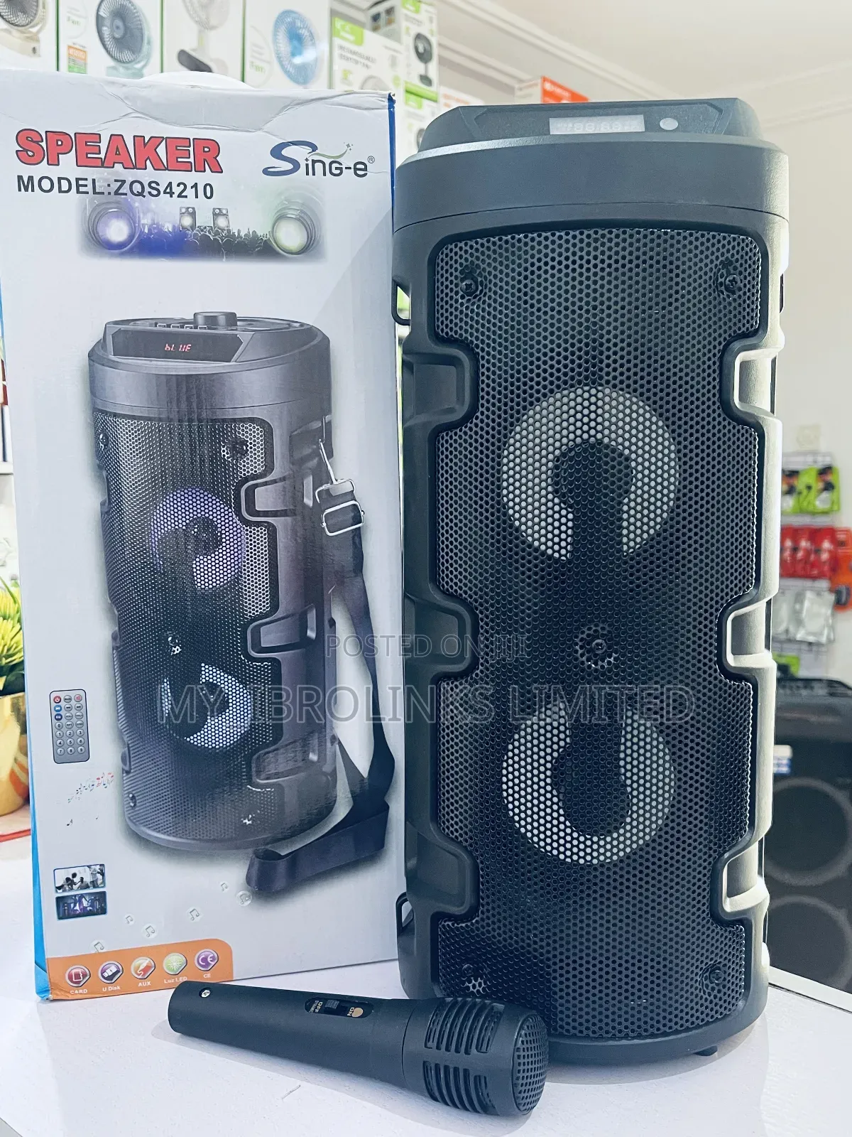 Sing-Ezqs 420 Speaker