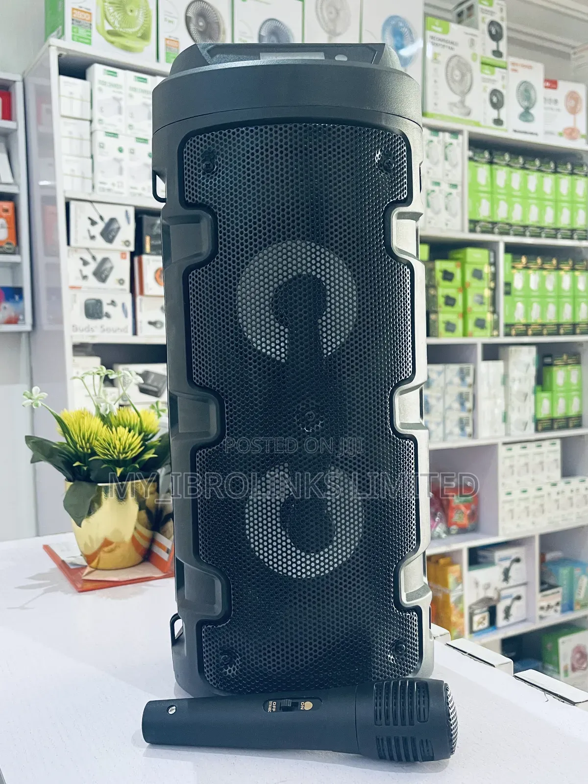 Sing-Ezqs 420 Speaker