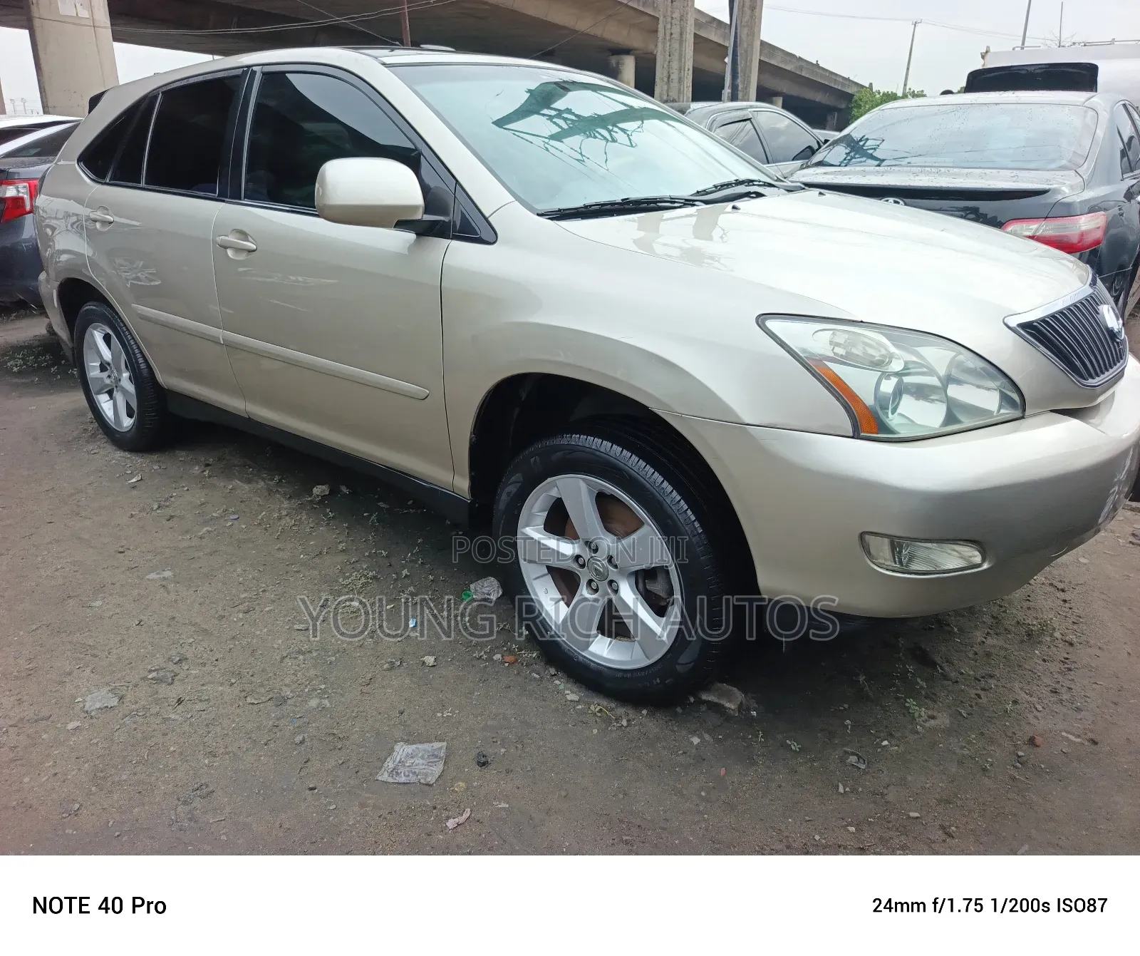 Lexus RX 2006 Gold