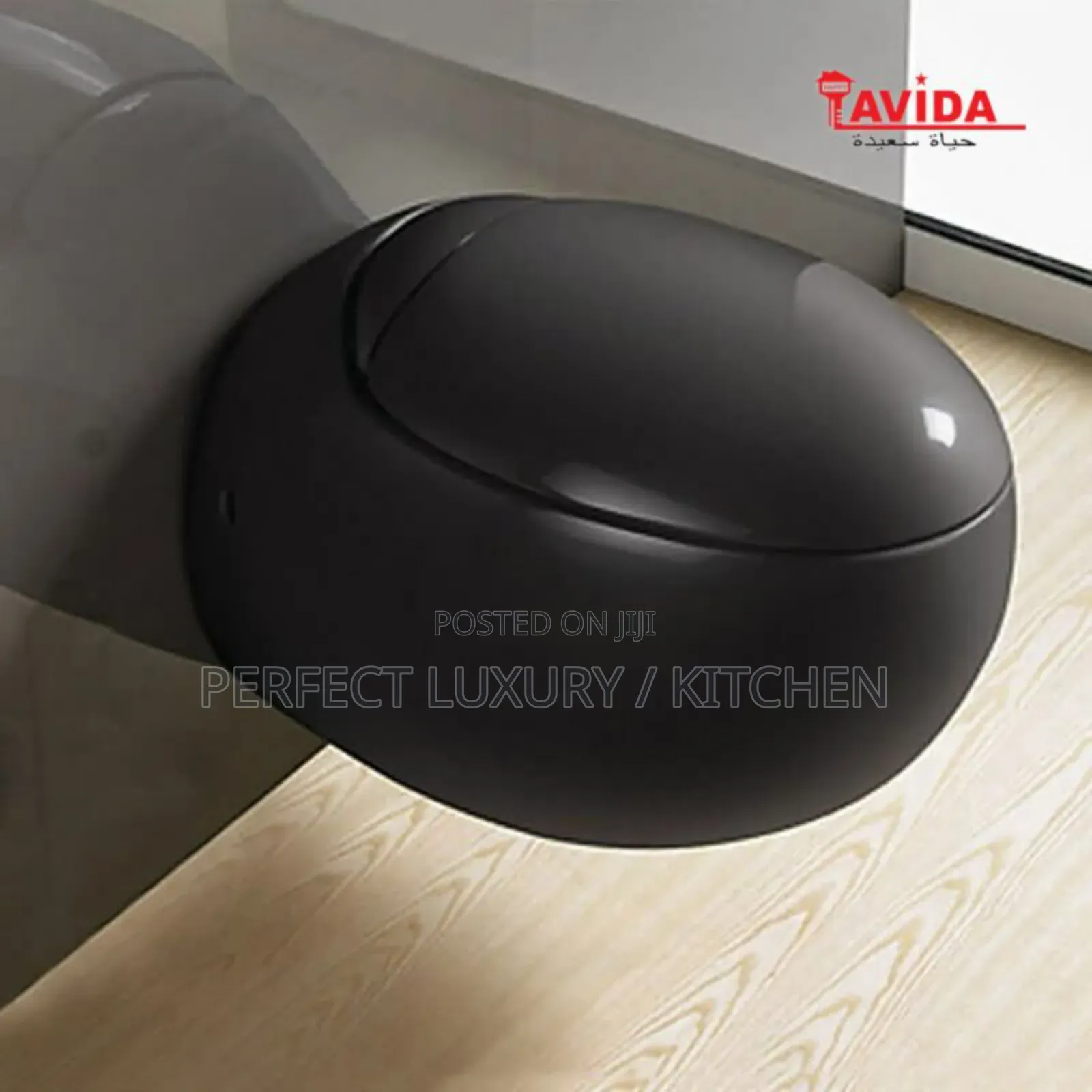 Lavida Black Egg Shape Wall Hang Concealed W C Water Closet 