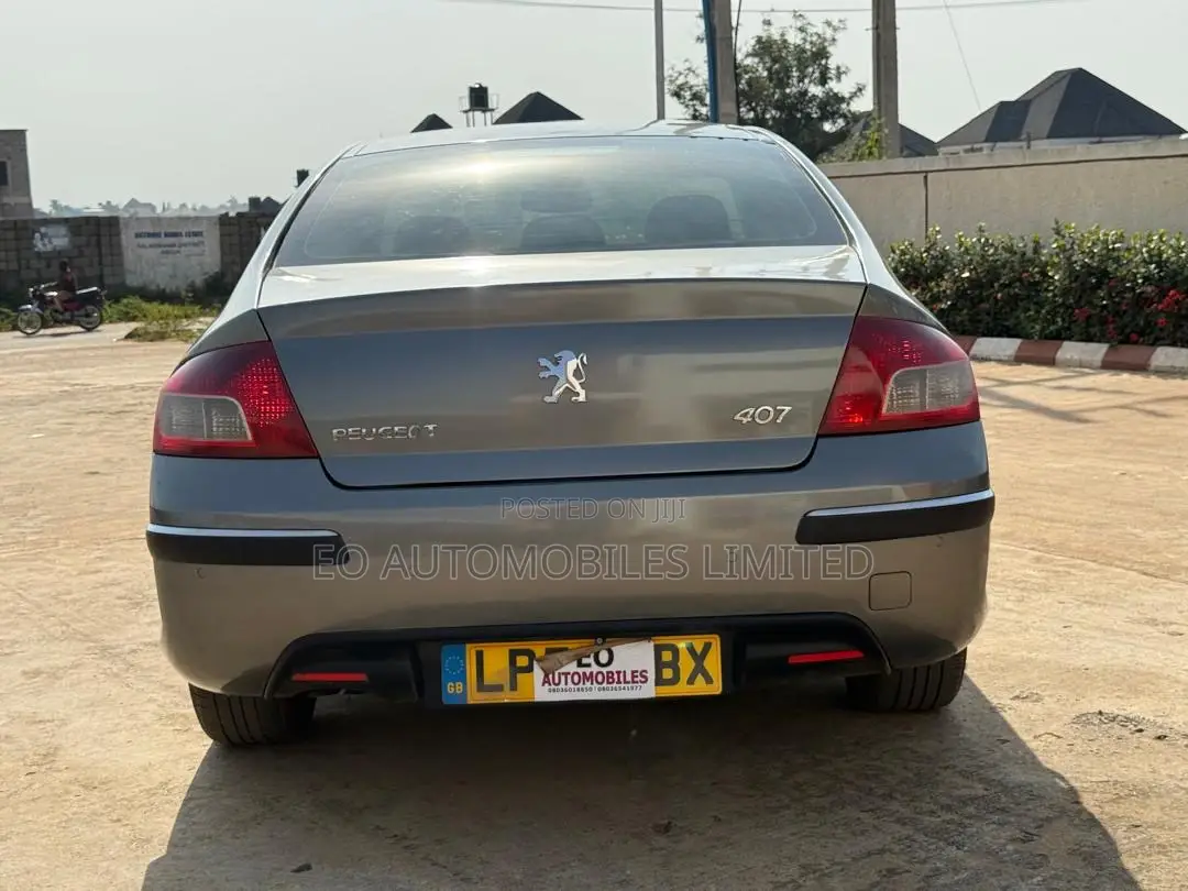 Peugeot 407 2.7 V6 HDi 2010 Gray