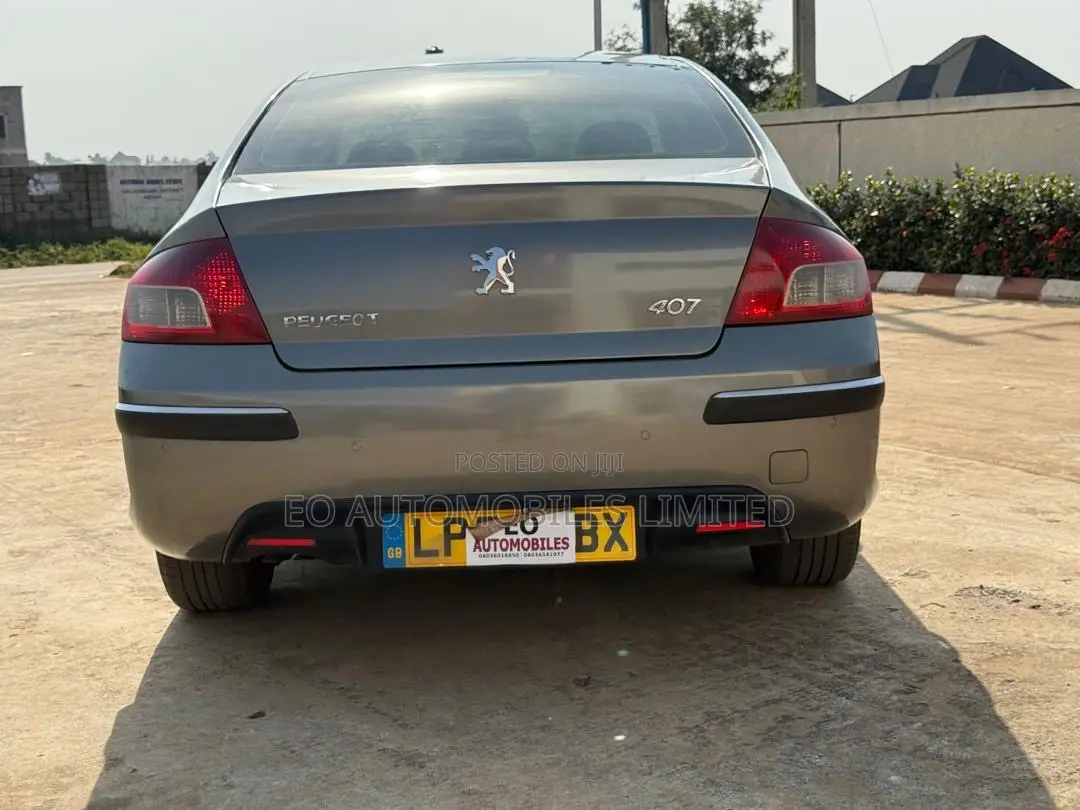 Peugeot 407 2.7 V6 HDi 2010 Gray