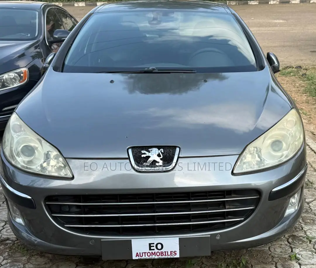 Peugeot 407 2.7 V6 HDi 2010 Gray