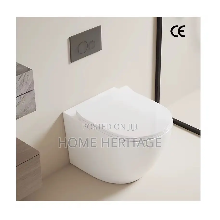 White Concealed Toilets