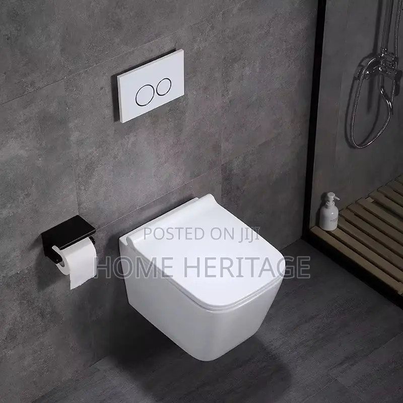 White Concealed Toilets
