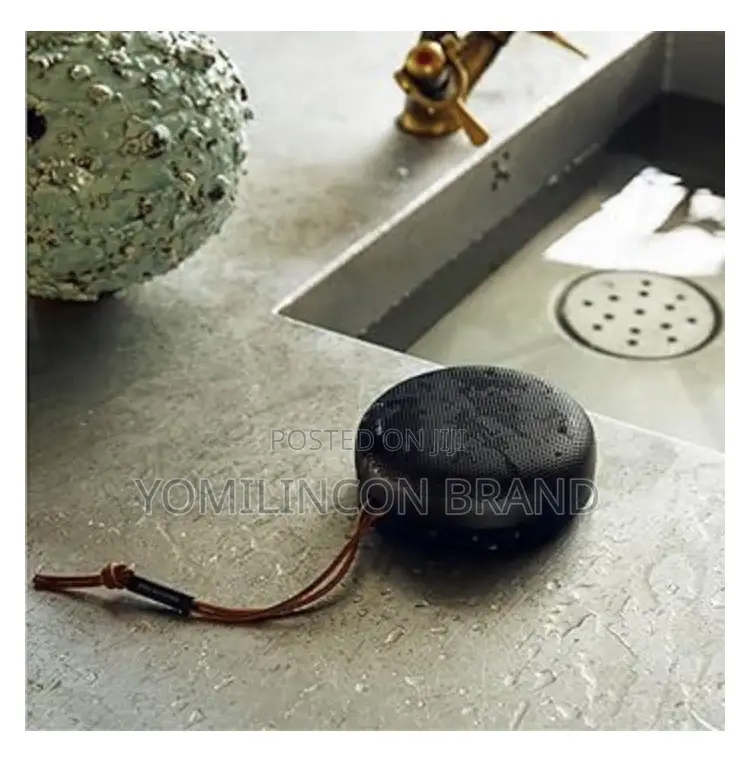 Bang Olufsen Beosound A1 (2nd Generation)