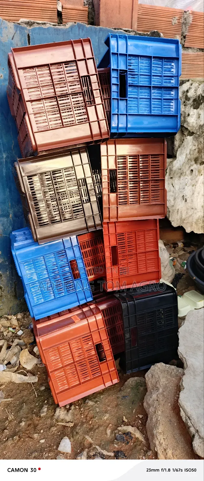 Tomato and Pepper Harvesting Crate