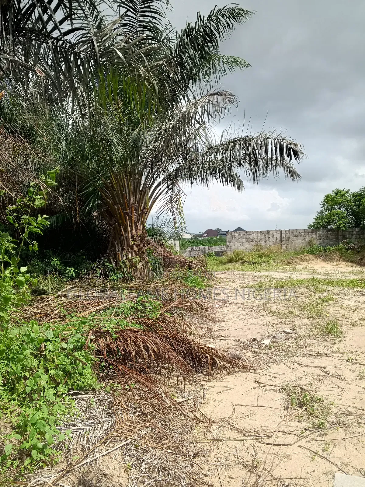 Plots for Sale