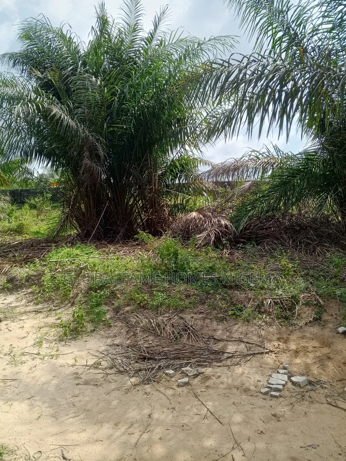 Plots for Sale