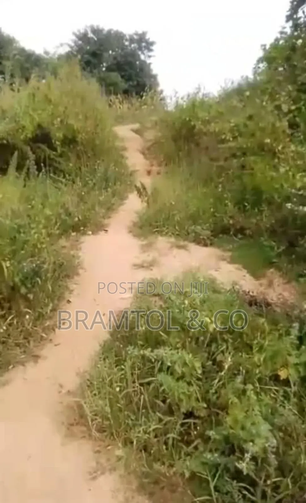 4.5 Hectares Commercial Plot With Cofo In Idu