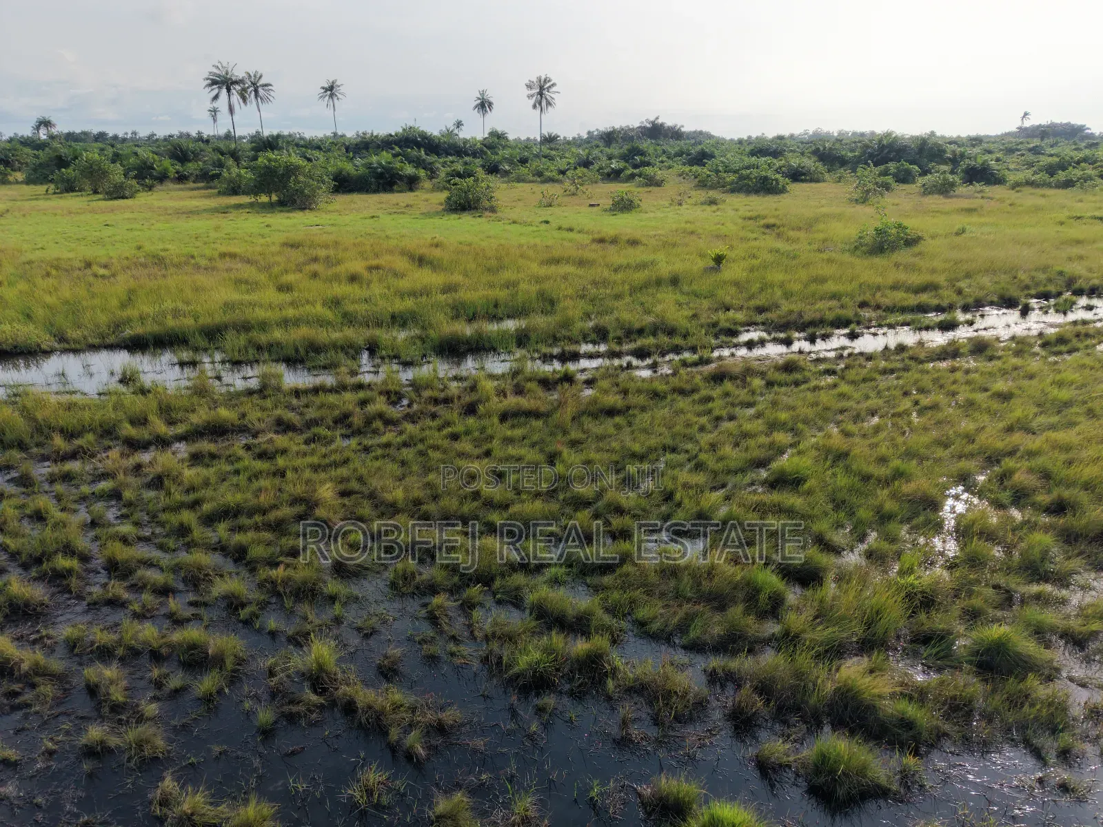 Ibeju Lekki Goldmine