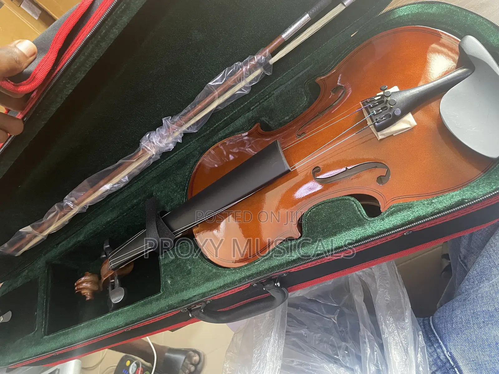 Professional Yamaha Violin