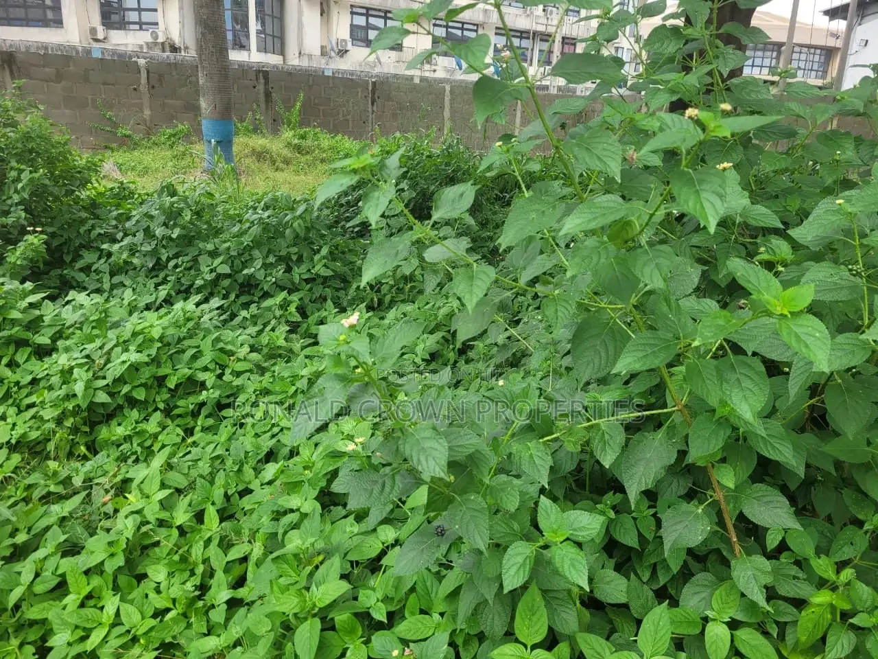Dry 2,009 Square Meters for Sale at Ikeja