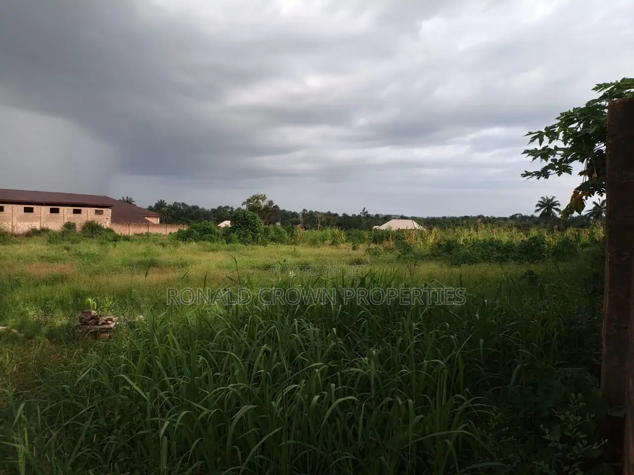 8000sqm Land Plus Warehouse For Lease At Surulere