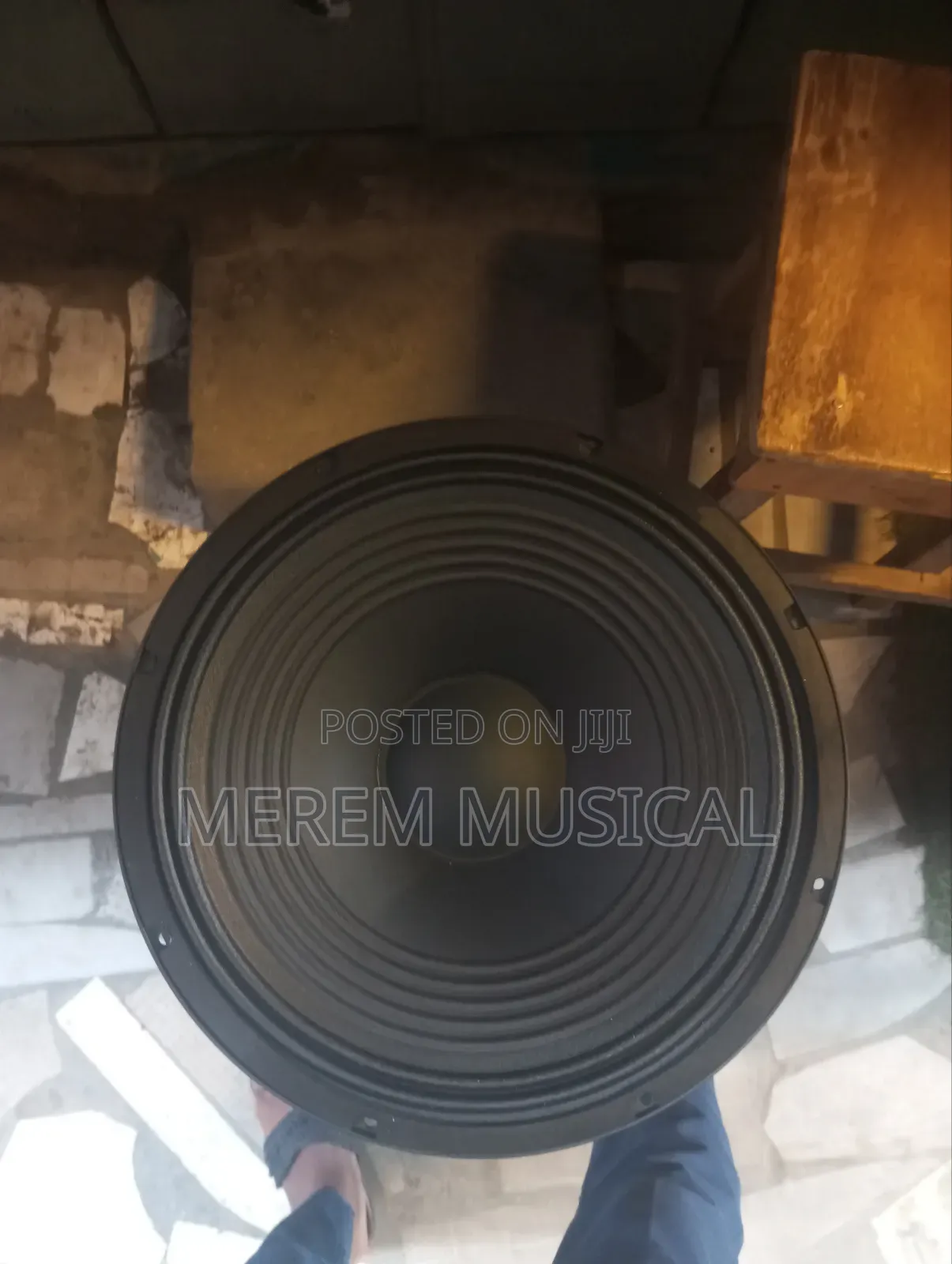 15" O Max Pro Speaker