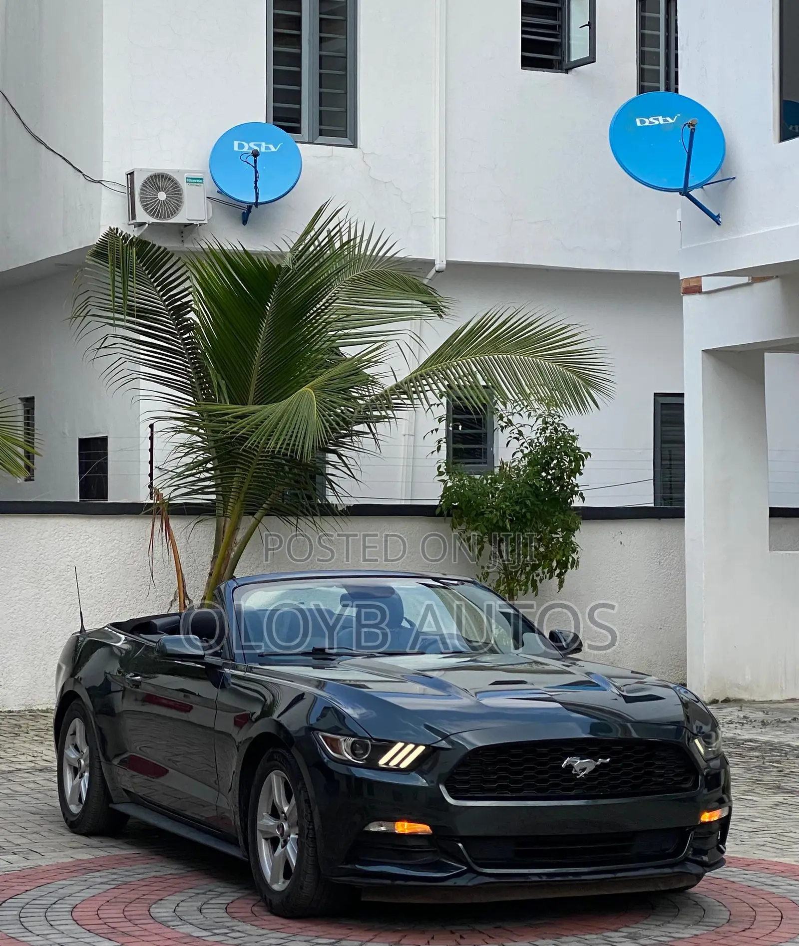 Ford Mustang V6 Convertible 2016 Green