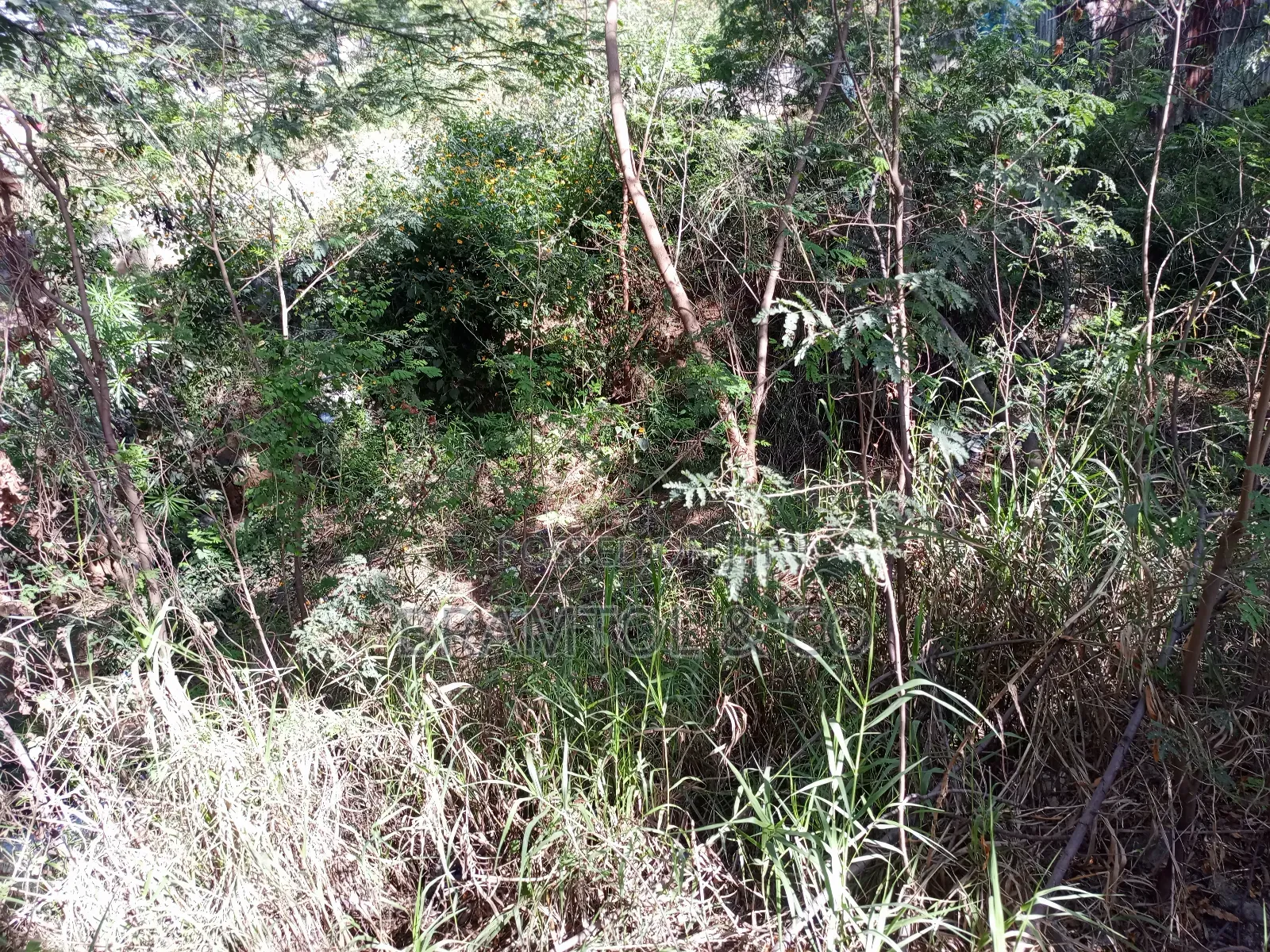 1500sqm Residential C Of O Plot At Kyami Aviation
