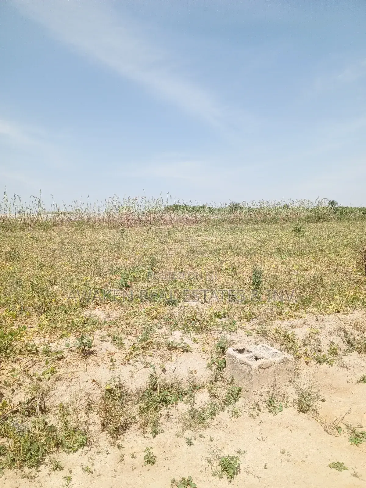 2 Hectares of Land for Sale