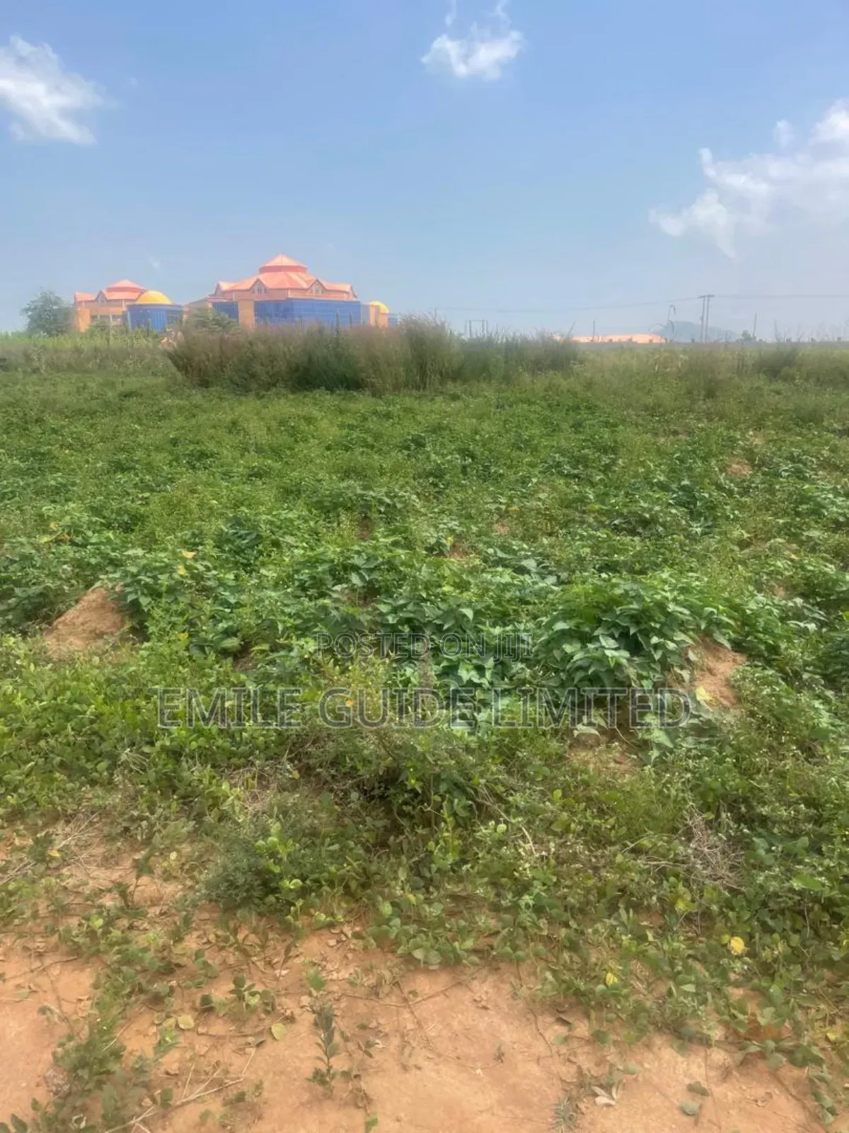 100 Hectares for Mass Development