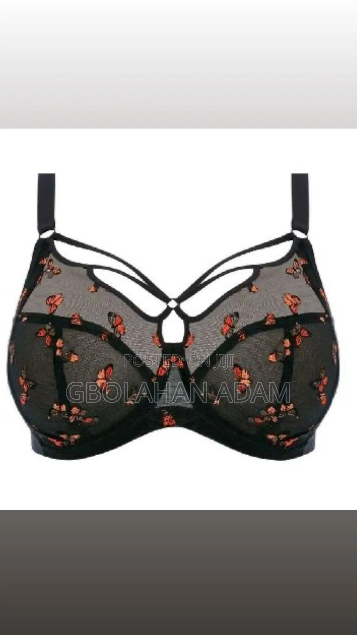 Sachi Black Butterfly Print Plunge Bra
