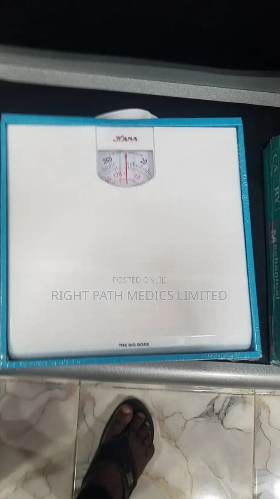 Camry Mechanical Bathroom Scale