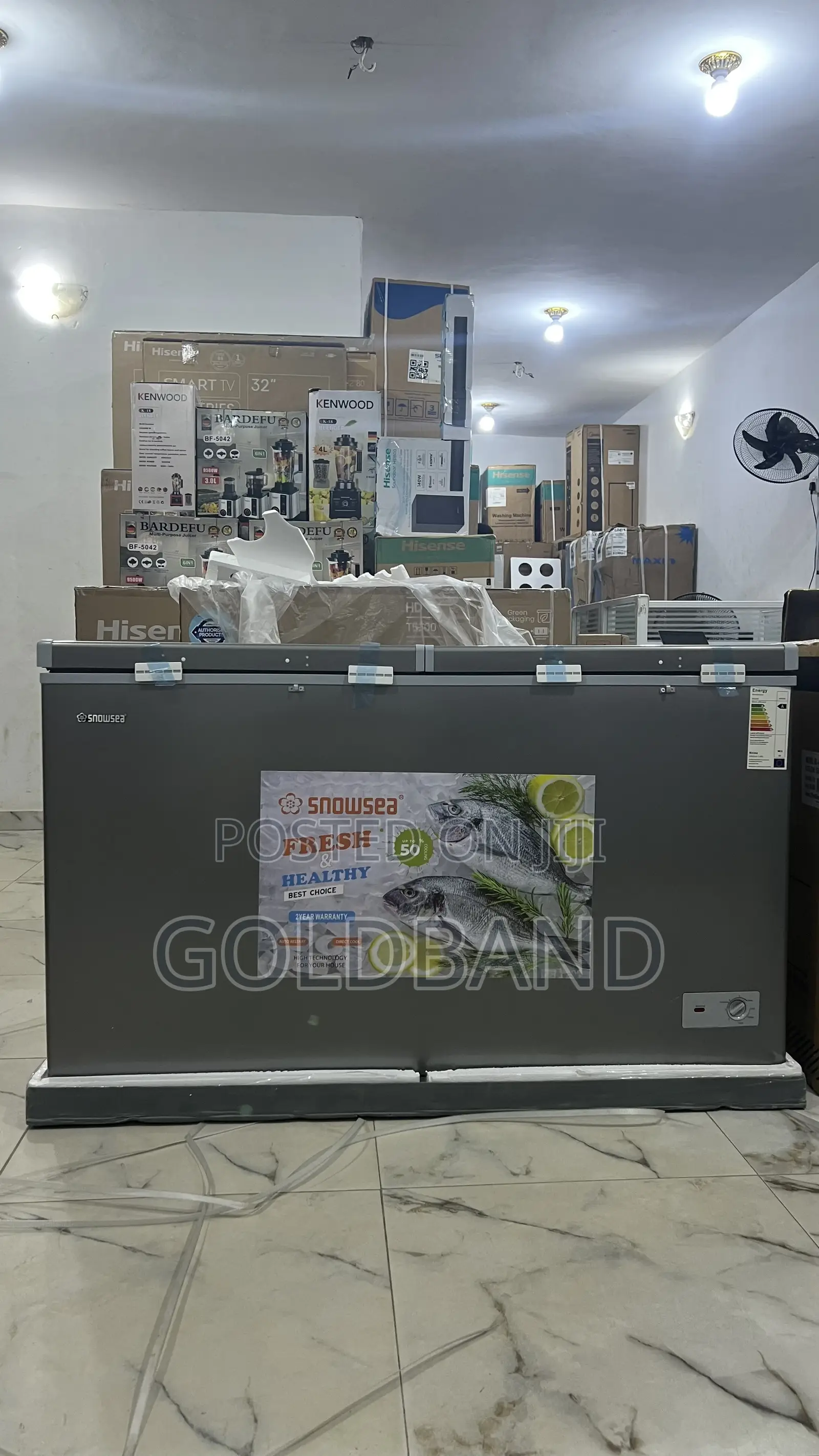 Snowsea Bd600 Chest Freezer – Dual Door Cooling for Home Shop