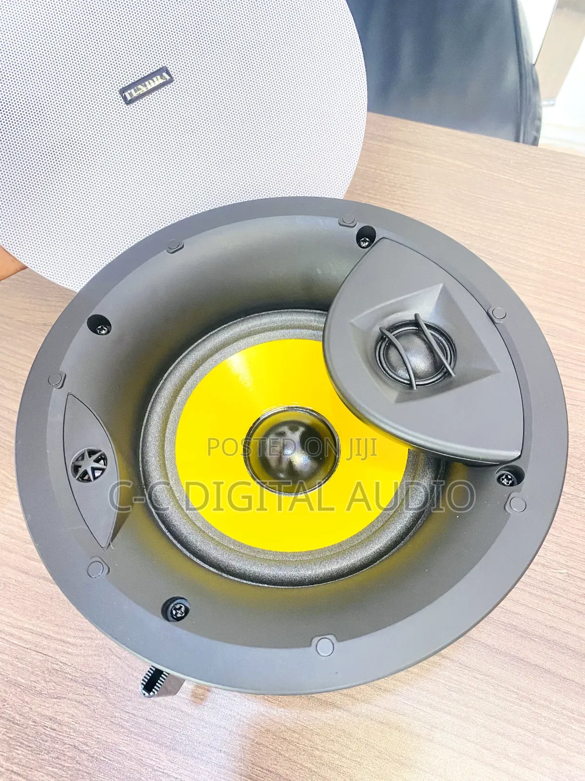 Tundra Frameless Passive Ceiling Speaker