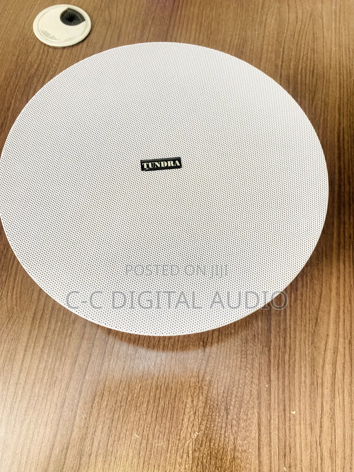 80 Watt Max Power Ceiling Speaker
