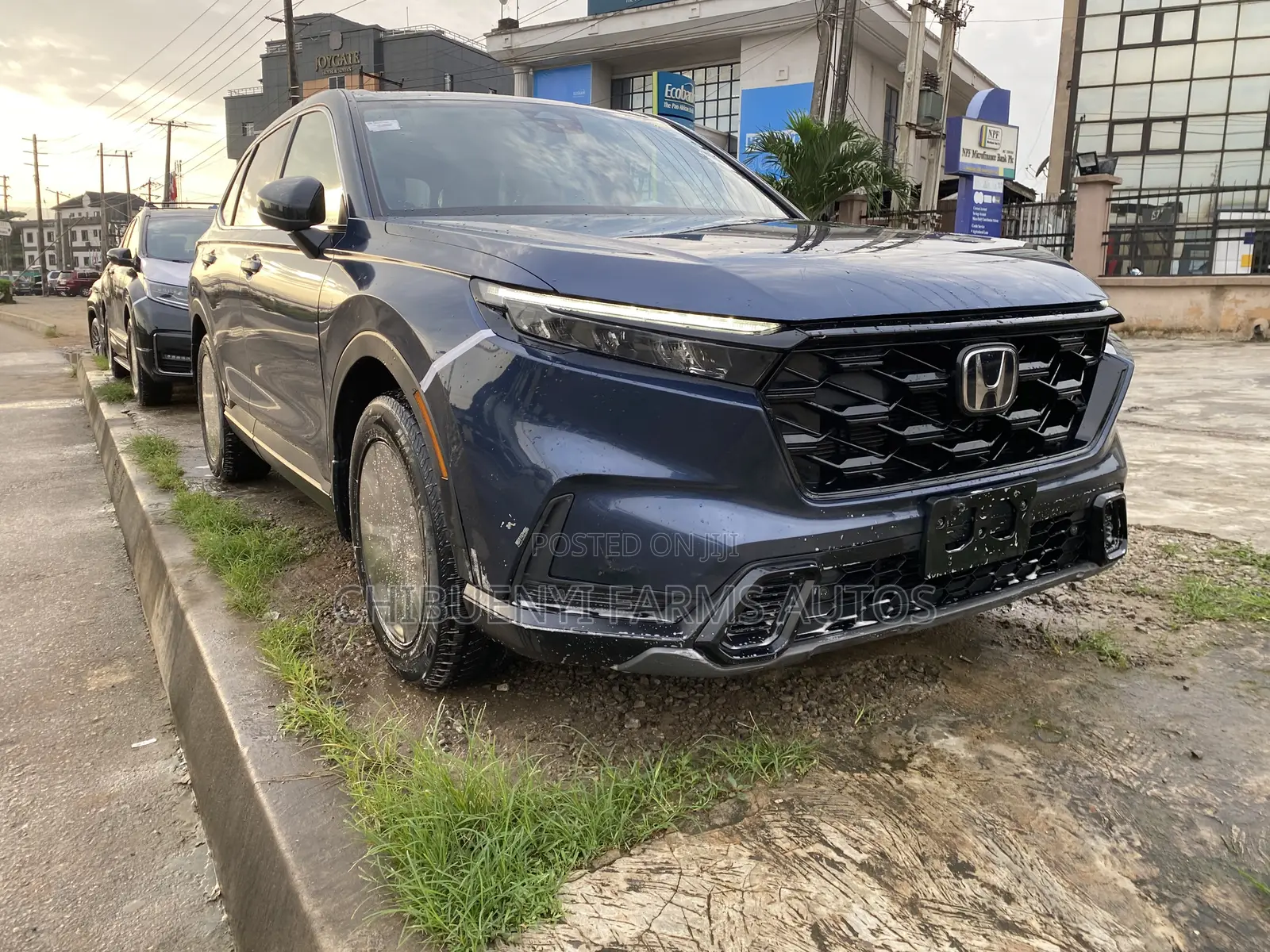 Honda CR-V 2024 Blue