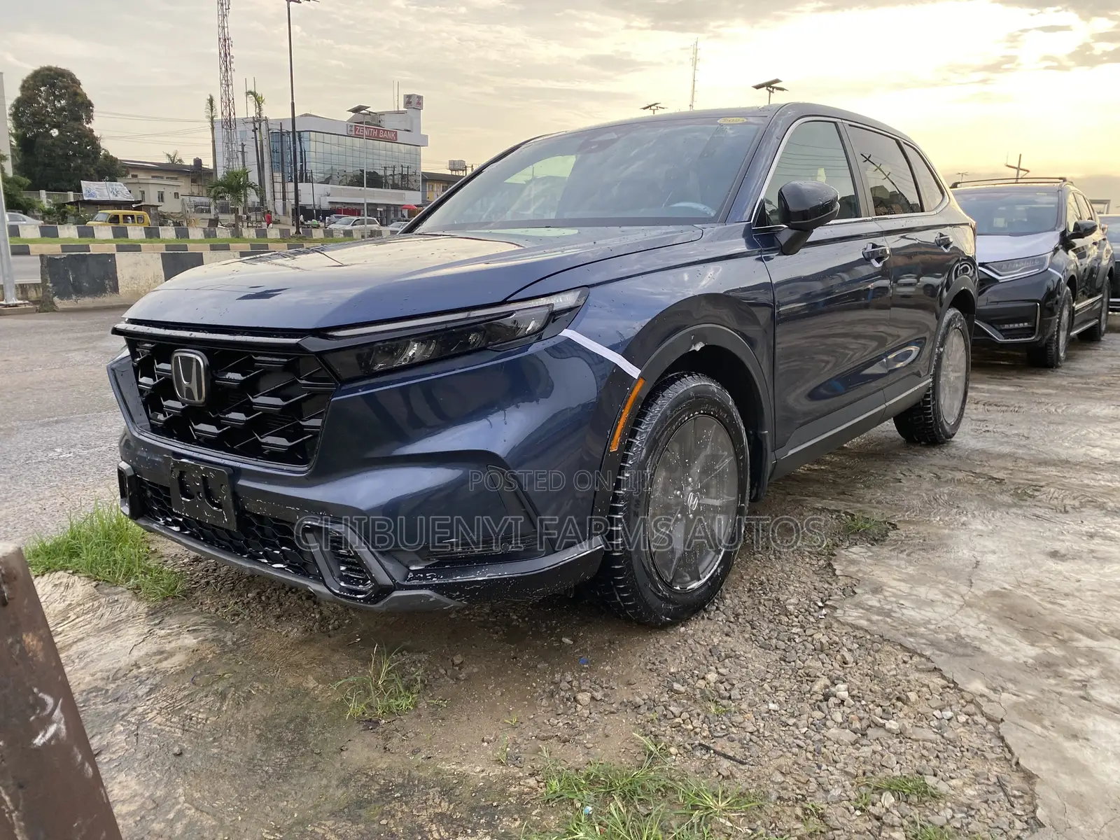 Honda CR-V 2024 Blue