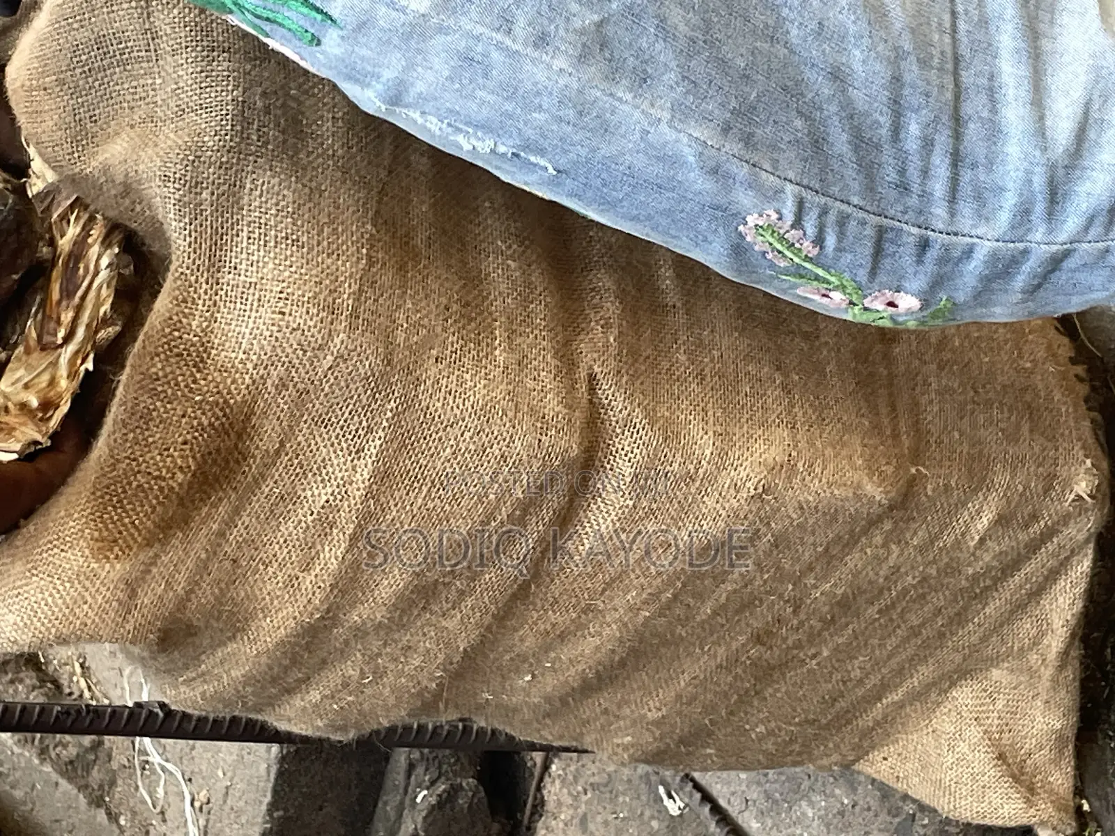 Burlap/Jute Sack(Local)