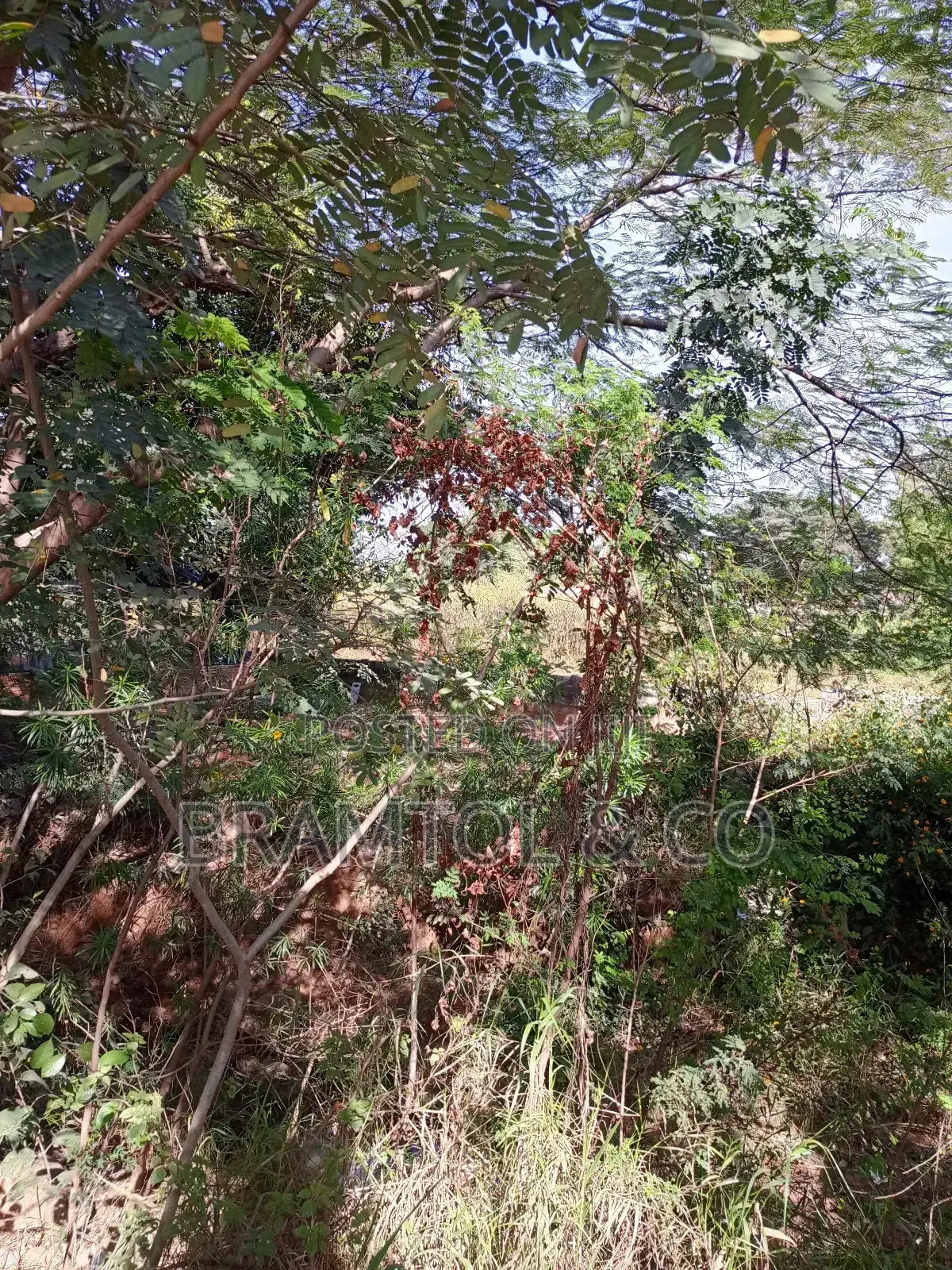 Almost One Hectares Mixed Use Land I Jabi Main